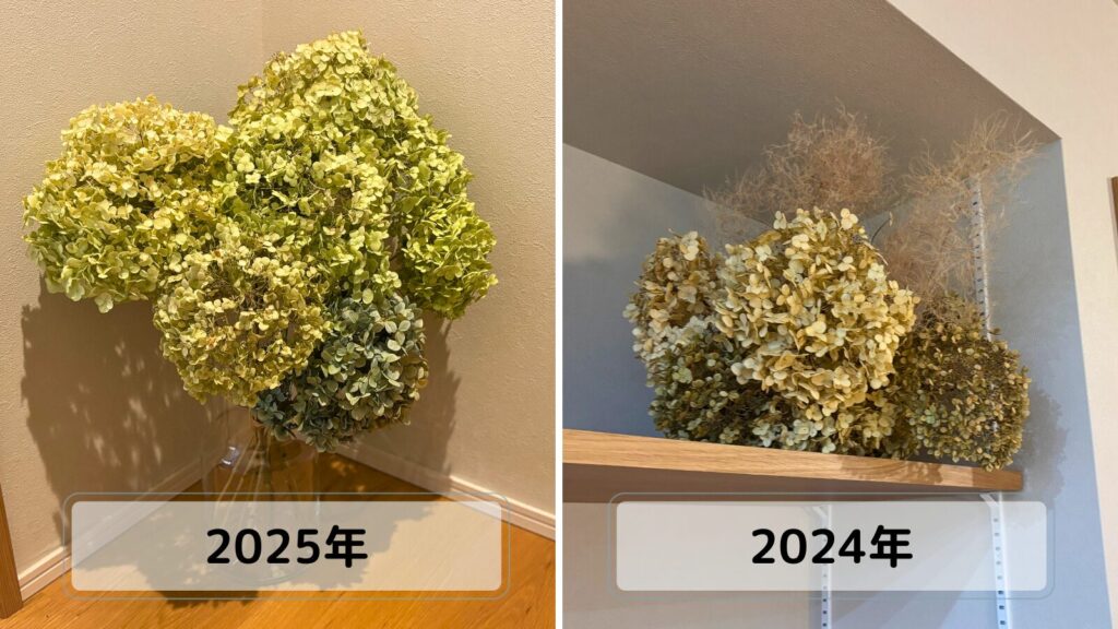 アナベルのドライフラワー