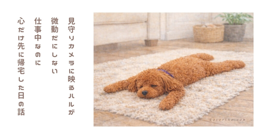 見守りカメラ越しに見た“動かない犬”に心臓が止まった話