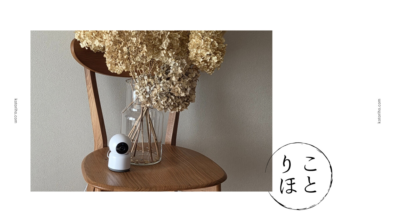 見守りカメラ
