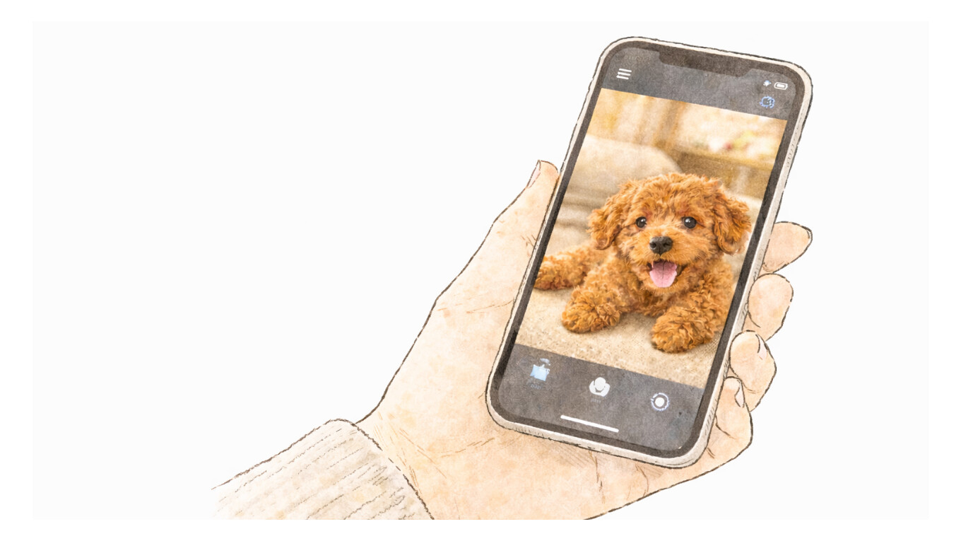 スマホに映る見守りカメラの画像