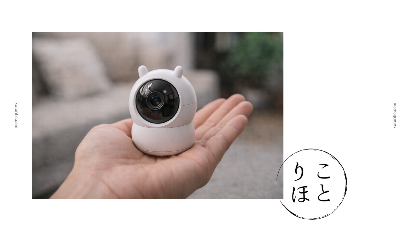 手の平の上の見守りカメラ
