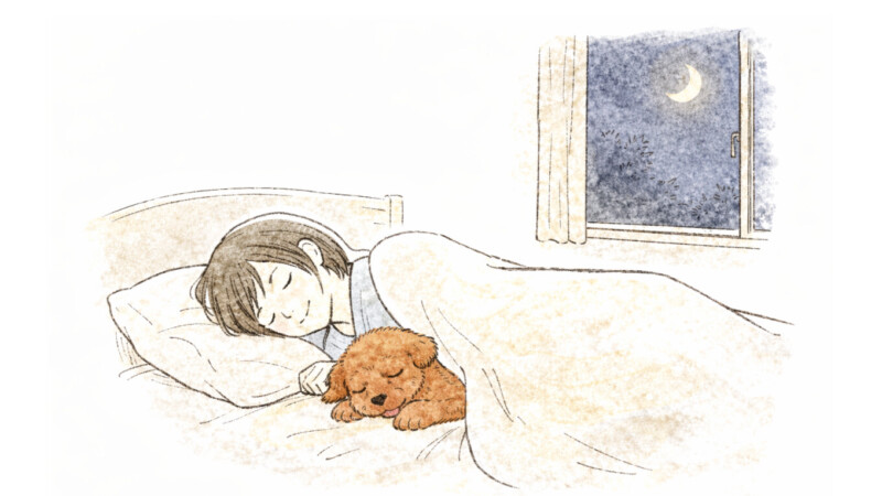 ハルとことりがベッドで眠っている