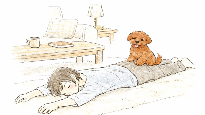 リビングのことりとハル