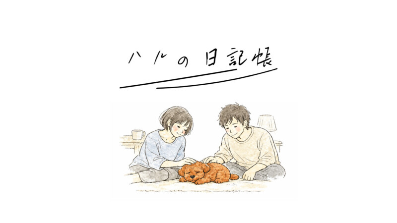 ハルの日記帳