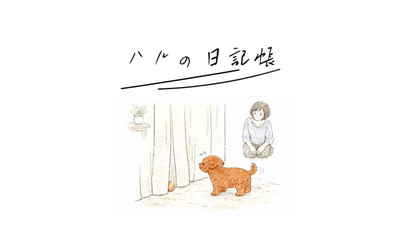 カーテンが怖いハル