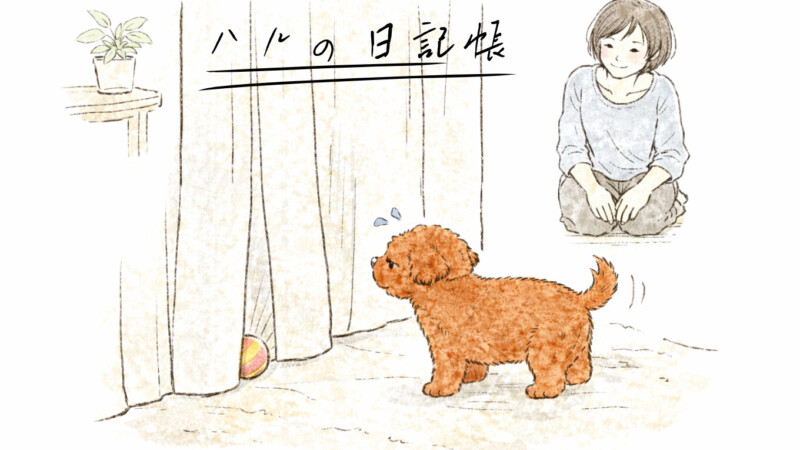 ハルの日記帳