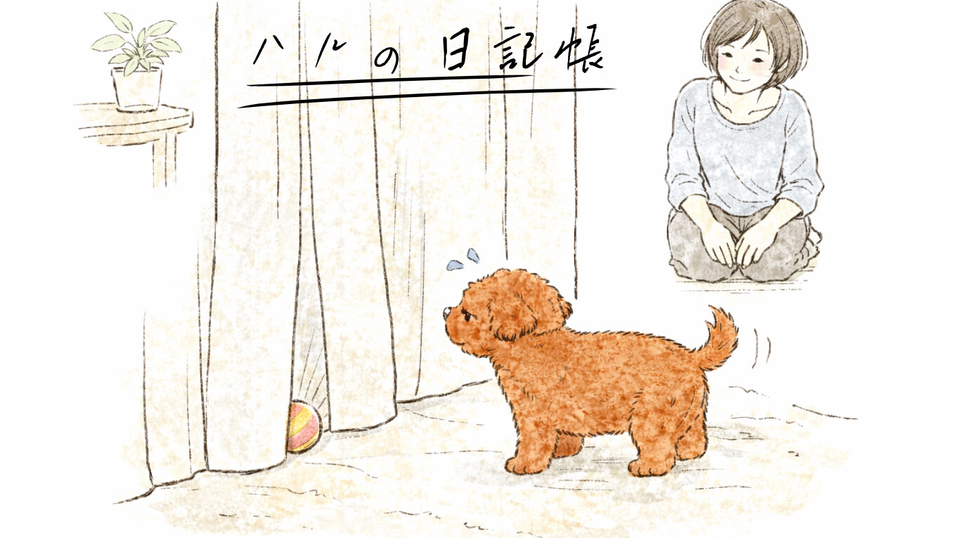 ハルの日記帳