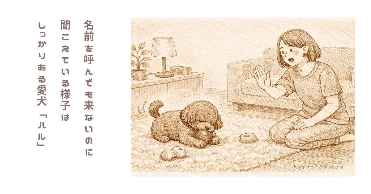 名前を呼んだのに来ないとき、だいたい聞こえている