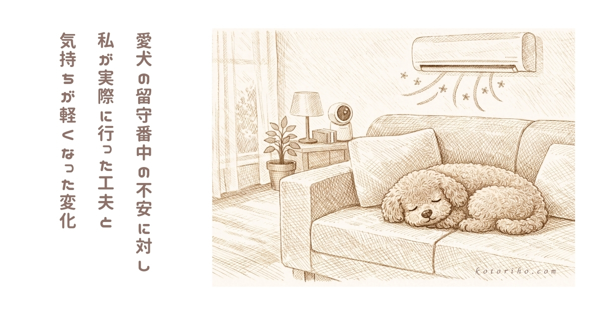 留守番中の「もしも」を減らすために私が考えたこと