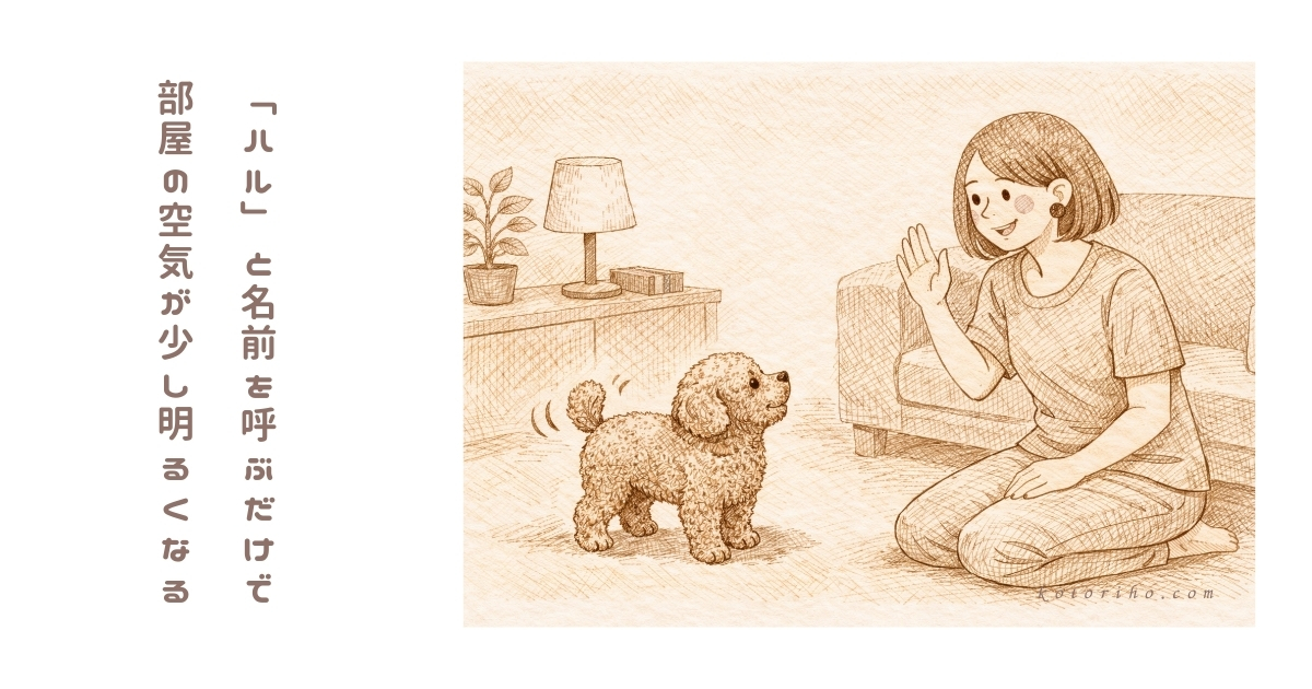 名前を呼ぶだけで部屋の空気が少し明るくなる