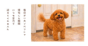 帰宅したら今日も犬に全力で迎えられた話