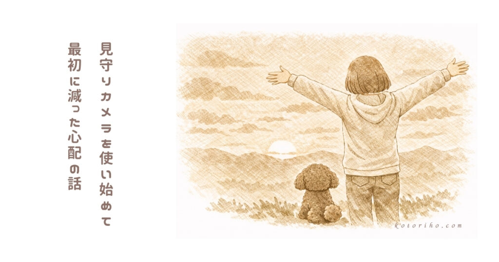見守りカメラを使い始めて最初に手放せた心配