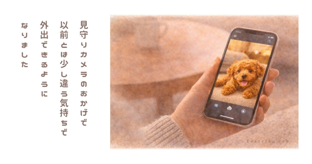 見守りカメラを使い始めて私の不安がどう変わったか