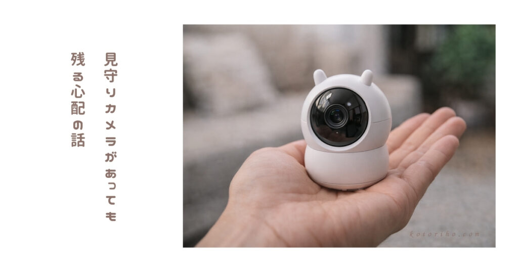見守りカメラを使っていても手放せなかった心配