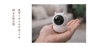 見守りカメラを使っていても手放せなかった心配