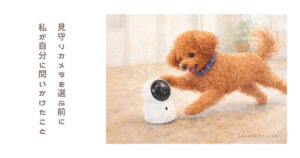 見守りカメラを選ぶ前に私が最初に考えたこと