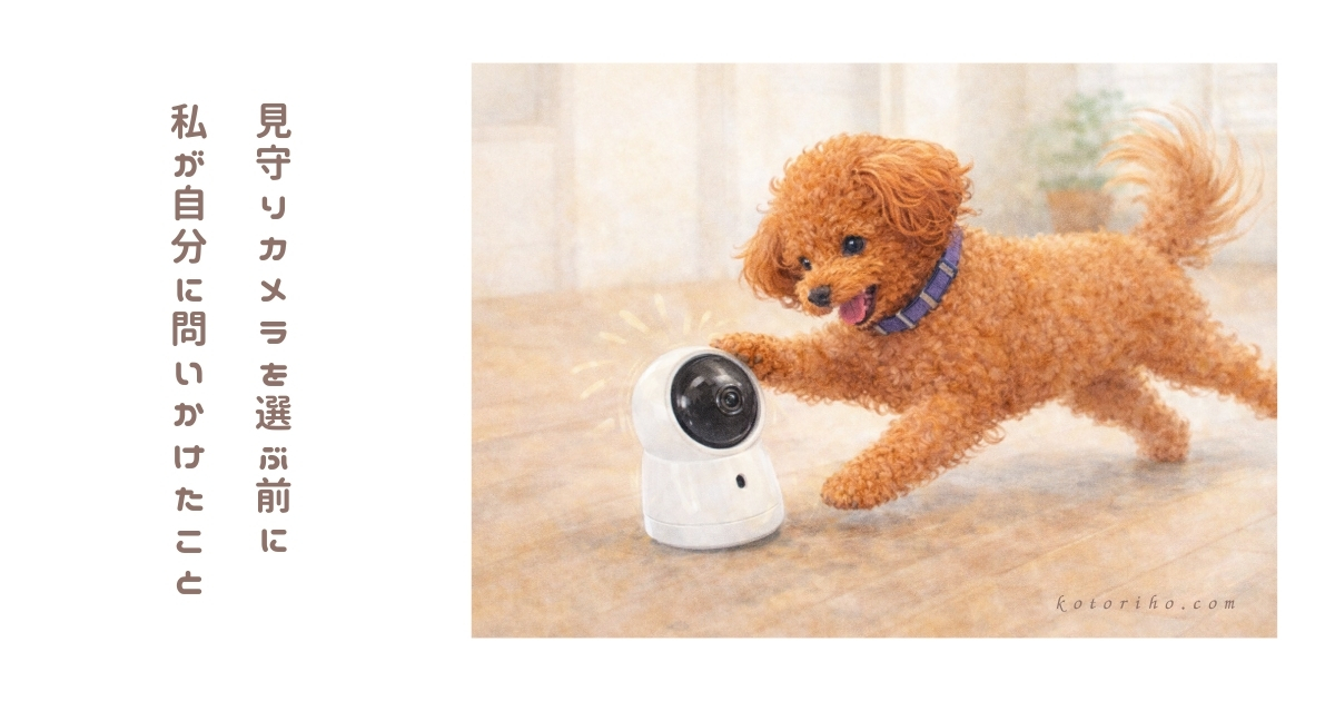 見守りカメラを選ぶ前に私が最初に考えたこと