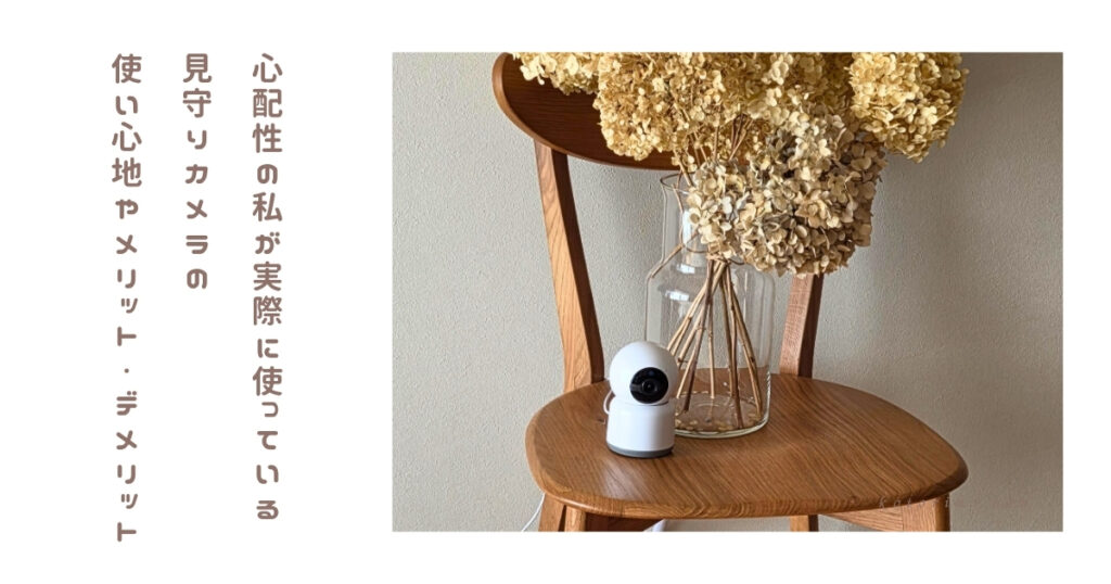 犬の留守番に見守りカメラは必要？共働き家庭が使っているカシムラKJ-182正直レビュー