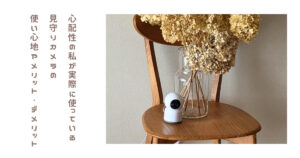 犬の留守番に見守りカメラは必要？共働き家庭が使っているカシムラKJ-182正直レビュー