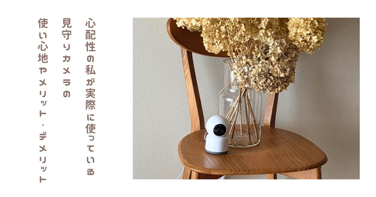 犬の留守番に見守りカメラは必要？共働き家庭が使っているカシムラKJ-182正直レビュー
