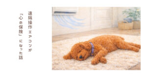 猛暑の留守番が不安すぎて、仕事中にエアコンを遠隔操作し始めた話