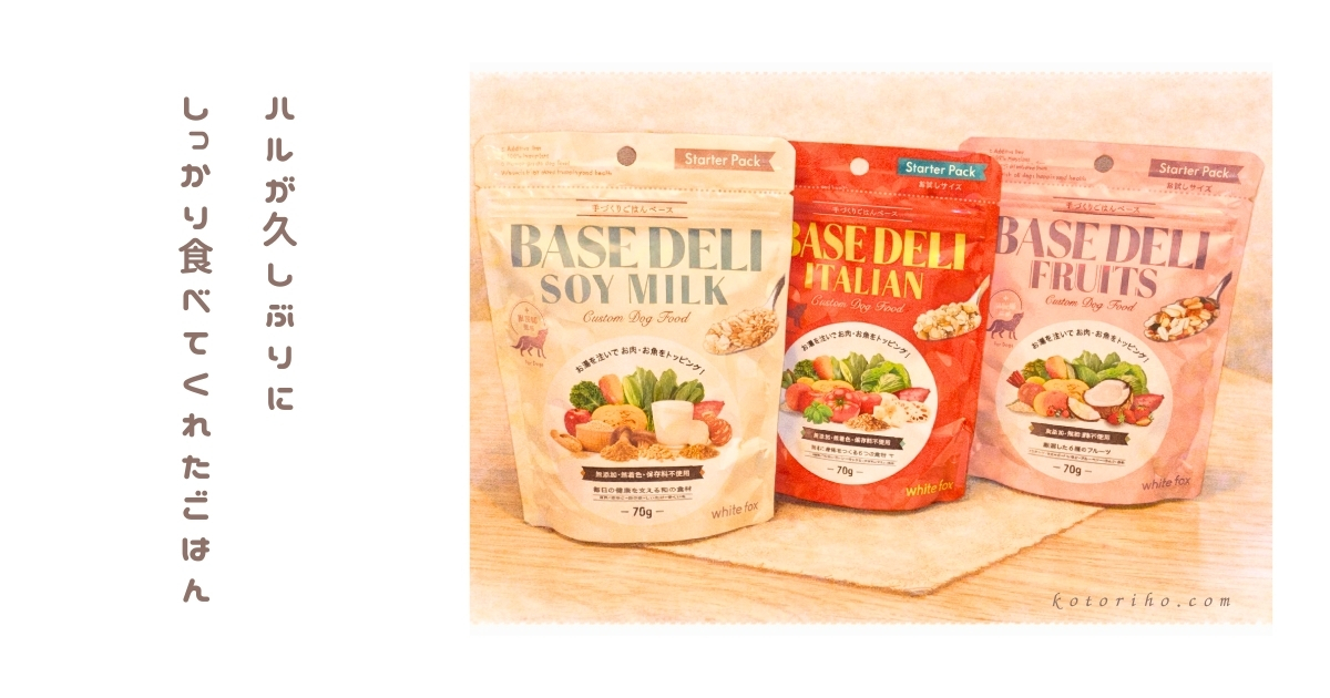 ベースデリを3か月試したレビュー｜ハルのお気に入りの味