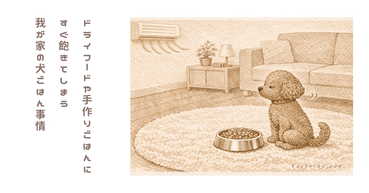 ハルがごはんを食べないとき試したこと