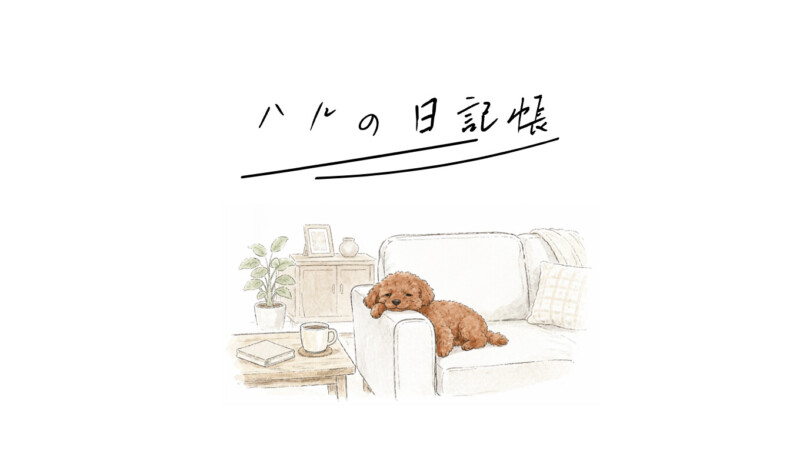 トイプードルのハルがソファのひじ掛けに顔を乗せている画像