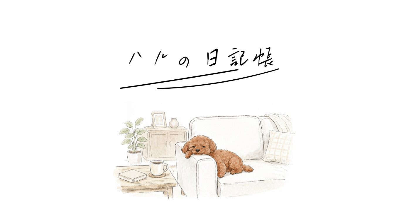 トイプードルのハルがソファのひじ掛けに顔を乗せている画像