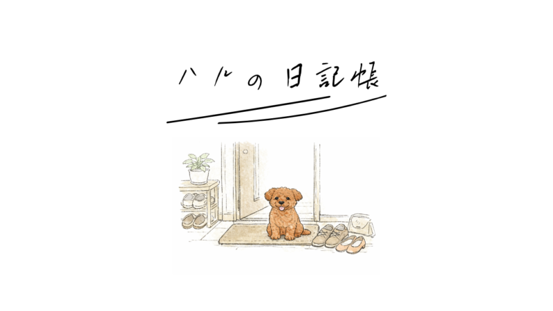ハルの日記帳