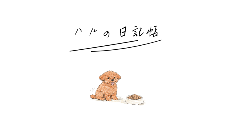 ハルの日記帳
