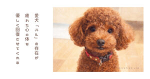 帰宅後すぐ座り込む私とそれを見守るハル