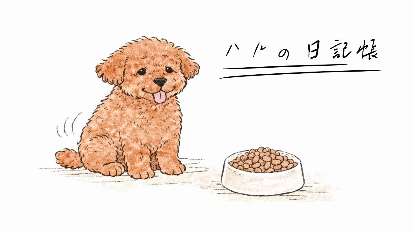ハルの日記帳
