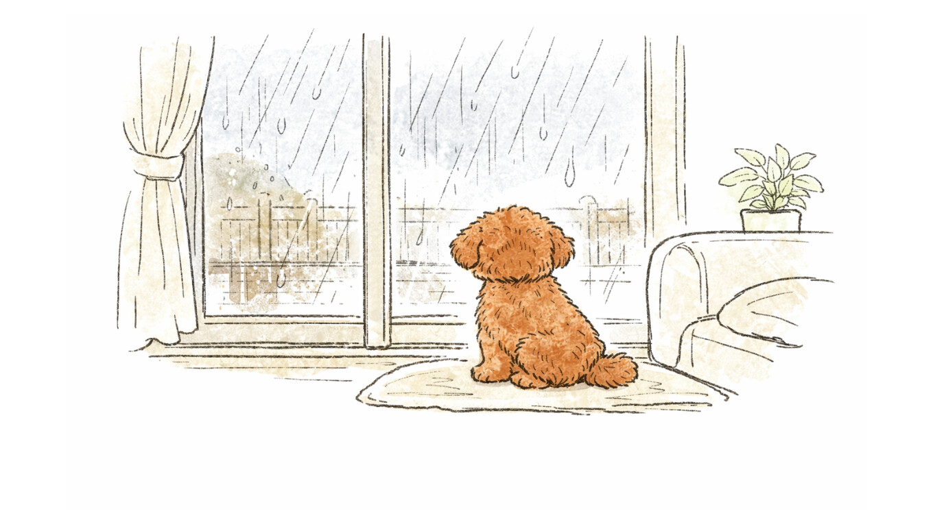 雨の日のお留守番のハル