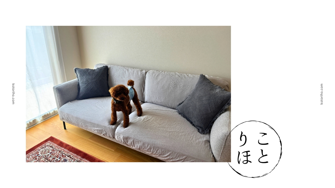 ソファの上のハル