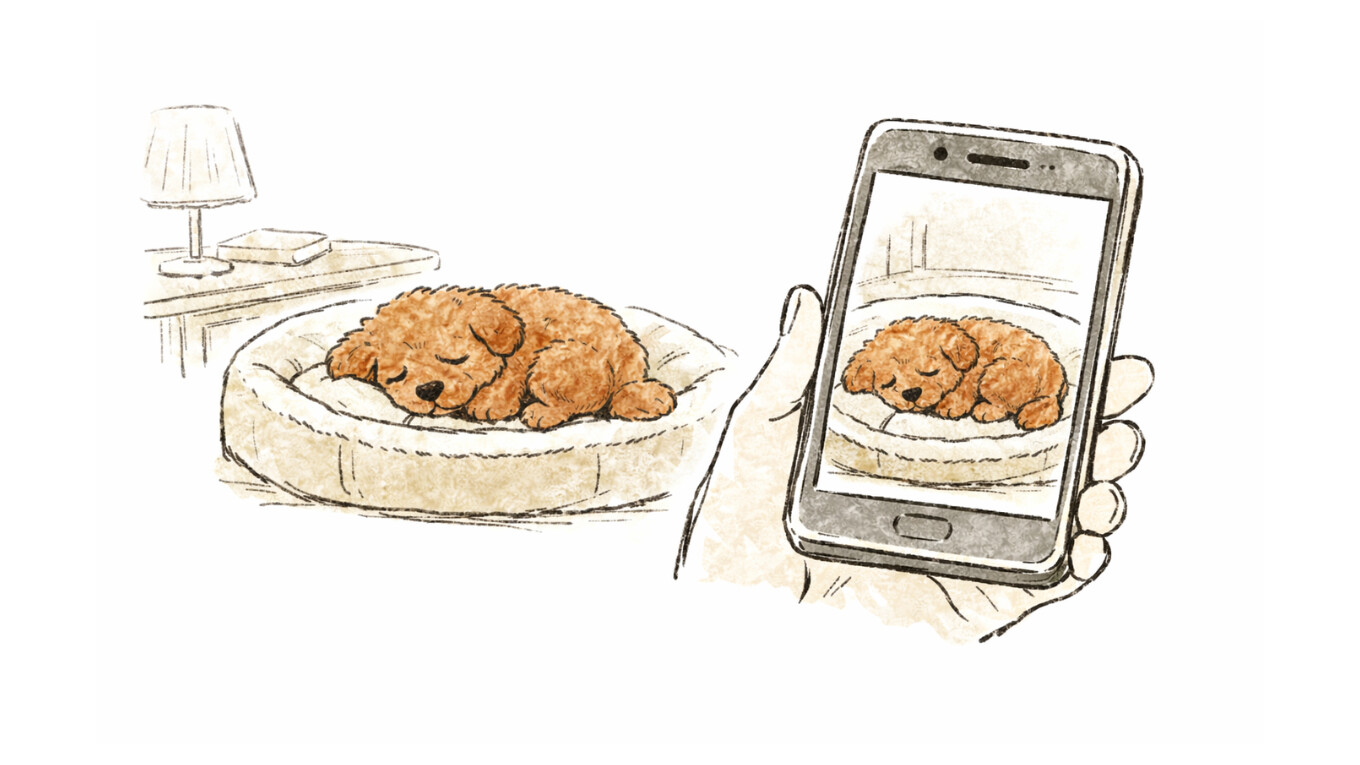 見守りカメラで見る眠っているハル