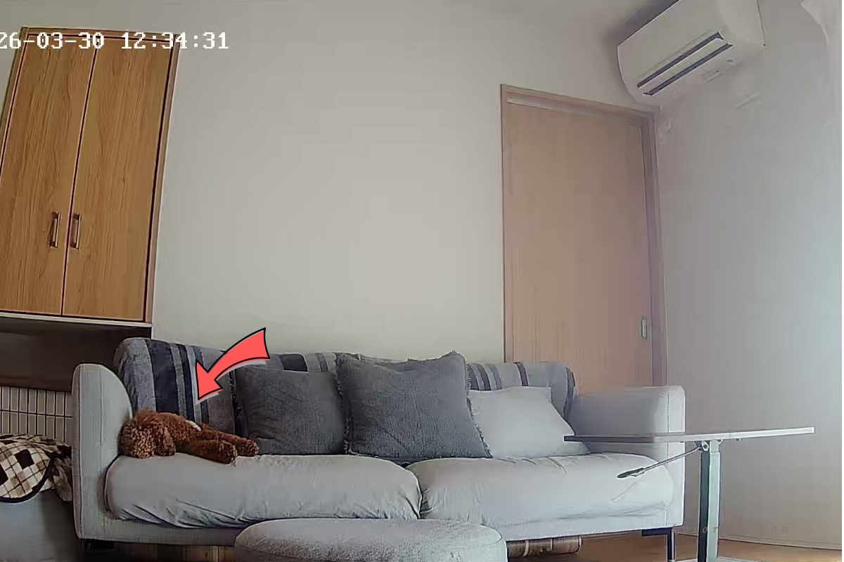 見守りカメラを確認した時のハル